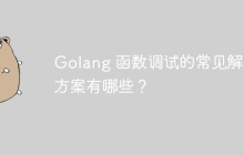 Golang 函数调试的常见解决方案有哪些？