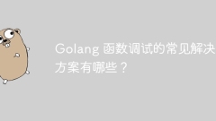 Golang 函数调试的常见解决方案有哪些?
