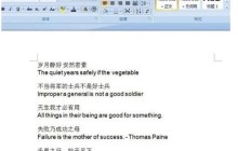 word文档快速批量删除英文而只保留中文的操作方法