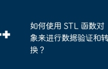 如何使用 STL 函数对象来进行数据验证和转换?