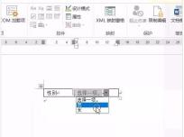 word制作下拉菜单的详细方法