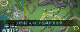《原神》4.6虹彩蔷薇位置大全