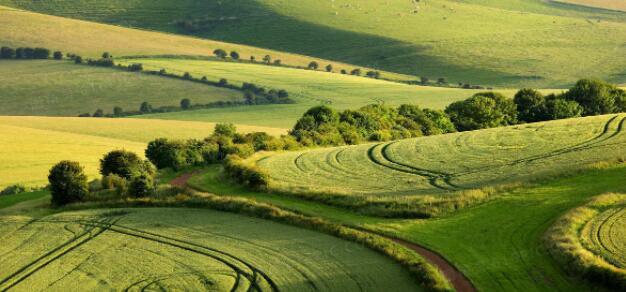 WeChat farm background HD picture