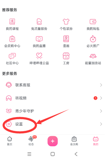 Where to enable custom screen opening animation on Bilibili