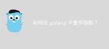 如何在 golang 中重寫函數？