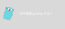 如何重载 golang 方法？