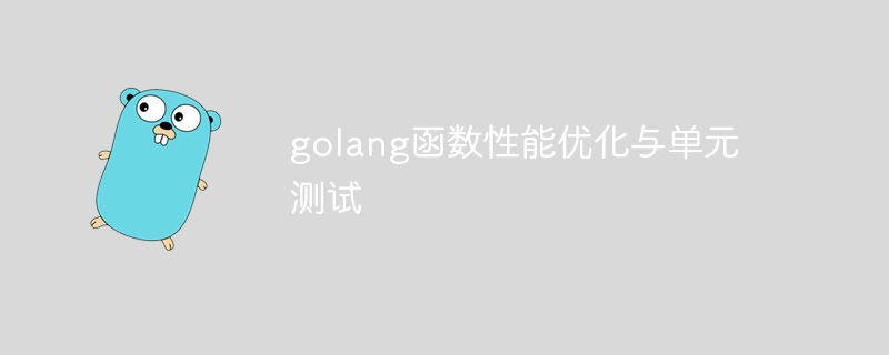 golang函数性能优化与单元测试