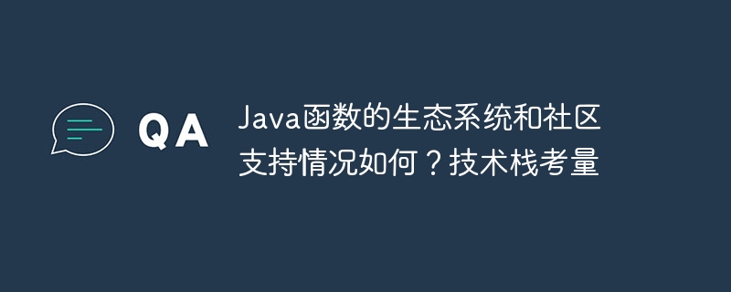 Java 기능에 대한 생태계 및 커뮤니티 지원은 어떻습니까? 기술 스택 고려 사항