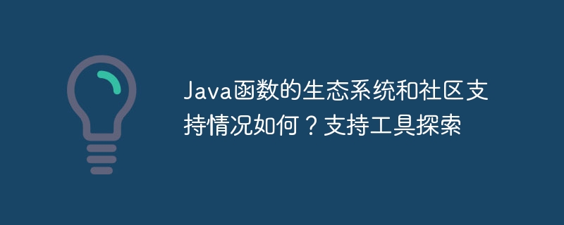 Java 기능에 대한 생태계 및 커뮤니티 지원은 어떻습니까? 지원 도구 탐색