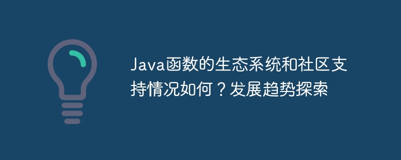 Java 기능에 대한 생태계 및 커뮤니티 지원은 어떻습니까? 개발 동향 탐색