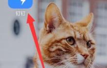 钉钉添加好友特别关注的详细方法