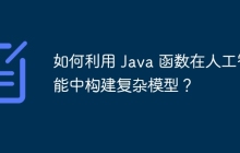 如何利用 Java 函数在人工智能中构建复杂模型？