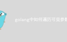 golang中如何遍历可变参数？