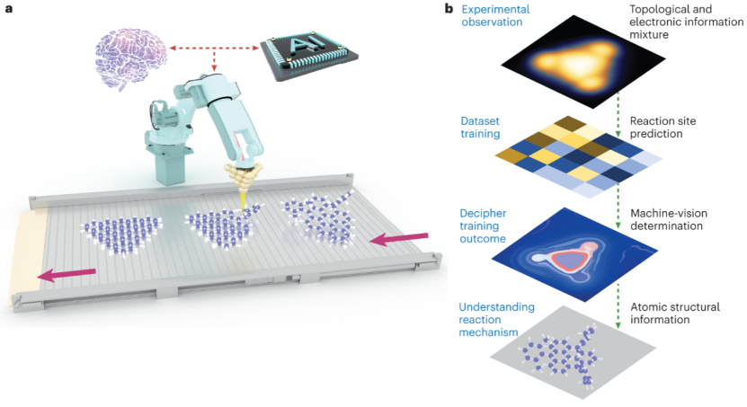 From material design and synthesis to catalyst innovation and carbon neutrality, Tsinghua Wang Xiaonan’s team explores the frontier and implementation of “AI+ materials”