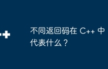 不同返回码在 C++ 中代表什么？