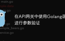 在API网关中使用Golang函数进行参数验证