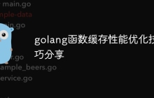 golang函数缓存性能优化技巧分享