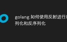golang 如何使用反射进行序列化和反序列化