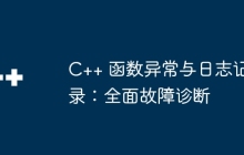 C++ 函数异常与日志记录：全面故障诊断