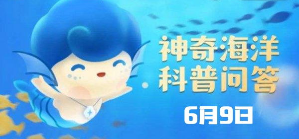 神奇海洋6.9答案：会进行夏眠的海洋动物是