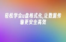 轻松学会u盘格式化,让数据传输更安全高效