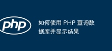 PHP を使用してデータベースにクエリを実行し、結果を表示する方法
