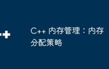 C++ 内存管理：内存分配策略