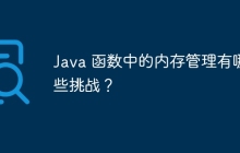Java 函数中的内存管理有哪些挑战?