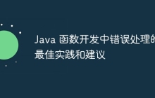 Java 函数开发中错误处理的最佳实践和建议