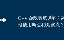 C++ 函数调试详解：如何使用断点和观察点？