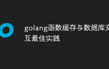 golang函数缓存与数据库交互最佳实践