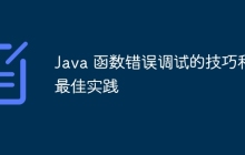 Java 函数错误调试的技巧和最佳实践