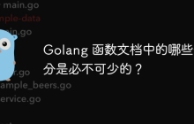 Golang 函数文档中的哪些部分是必不可少的？
