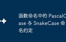 函数命名中的 PascalCase 与 SnakeCase 命名约定