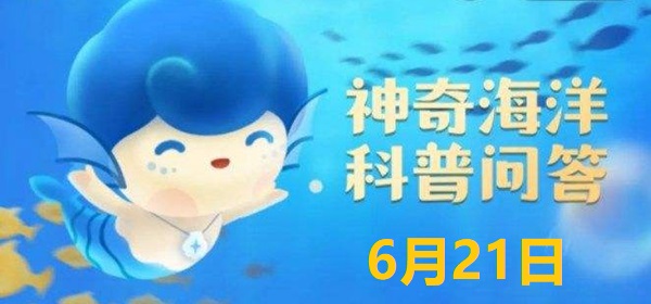 神奇海洋6.21答案：虎鯨是一種高度社會化的動物，分佈於幾乎所有的海洋區域，它屬於?