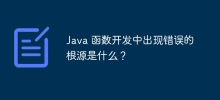 Java 函数开发中出现错误的根源是什么？