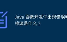 Java 函数开发中出现错误的根源是什么？
