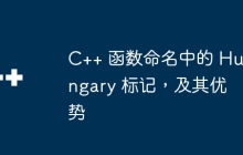 C++ 函数命名中的 Hungary 标记，及其优势