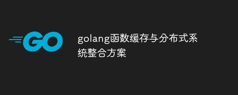 solution de mise en cache de fonctions golang et d'intégration de systèmes distribués