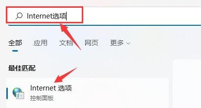 Windows11浏览器没网怎么解决_Windows11设置局域网络技巧