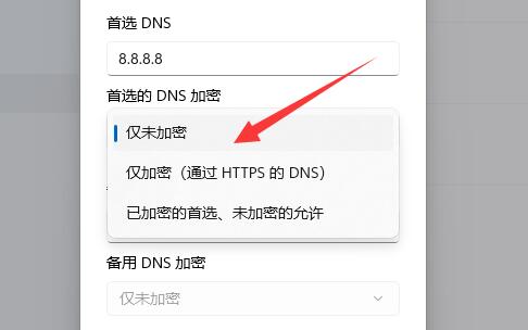 So verschlüsseln Sie DNS in Win11_So verschlüsseln Sie DNS in Win11