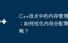 C++技术中的内存管理：如何优化内存分配策略？