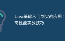 Java基础入门到实战应用：高性能实战技巧