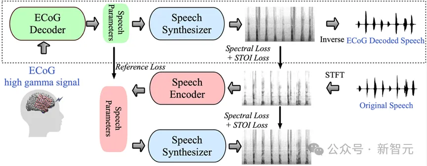 LeCun forwarded, AI allows aphasic people to speak again! NYU releases new “neural-speech” decoder