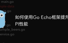 如何使用Go Echo框架提升API性能