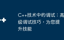 C++技术中的调试：高级调试技巧，为您提升技能