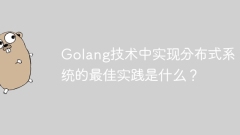 Was sind die Best Practices für die Implementierung verteilter Systeme in der Golang-Technologie?