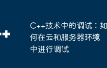 C++技术中的调试：如何在云和服务器环境中进行调试