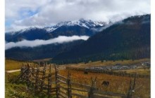 荣耀30s长截屏操作方法