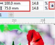 So ändern Sie die Bitmap-Größe und -Auflösung in CorelDRAW